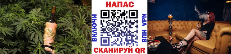 дарнет шоп  Лыткарино  Canna-Cookies конопля 