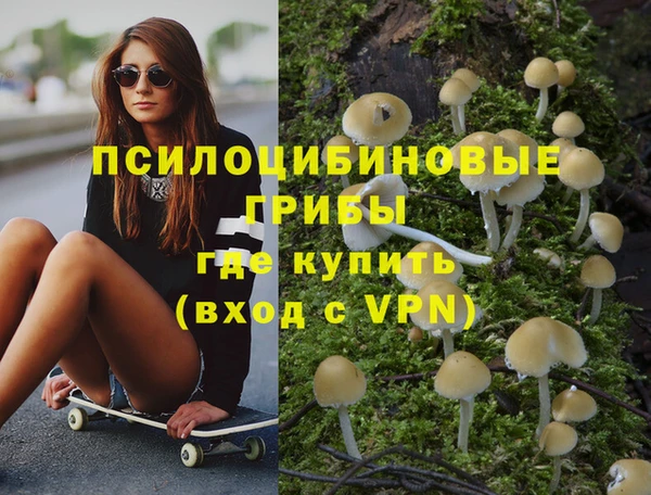 прущие крисы Аркадак