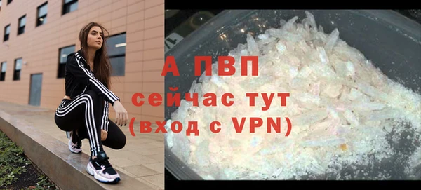 прущие грибы Приозерск